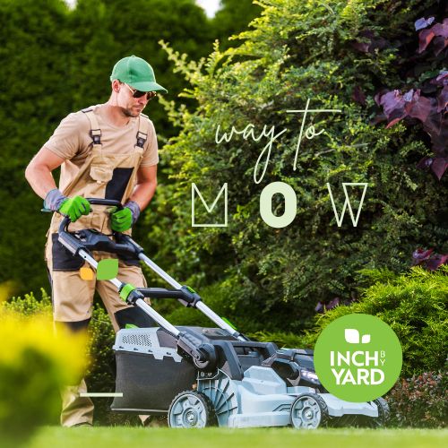 Mowing – Standard Yard