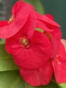 IMG_3542-scaled.jpg