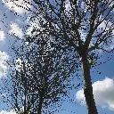IMG_0190.webp
