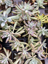 IMG_8984.webp