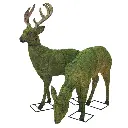 bWFpbi90aHVtYm5haWxzL3RvcGlhcnktNi5qcGc=.webp