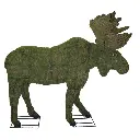 bWFpbi90aHVtYm5haWxzL3RvcGlhcnktMTEuanBn.webp