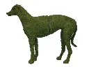 4acd69a16227985ed999c7143ac54eea.webp