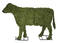 91fcc5666143df12320f64af04cc4f2a.webp