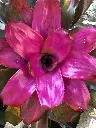 IMG_9066.webp