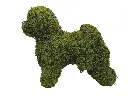 22721.webp