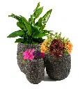 04167.webp