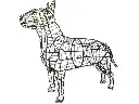 22728.webp