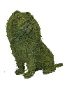 22747.webp