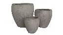 04034.webp
