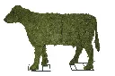 22756.webp