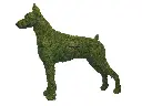 22772.webp