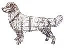 22821.webp