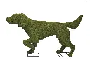 22867.webp
