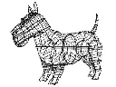 22899.webp