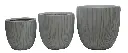 04229.webp