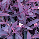 IMG_8737.webp