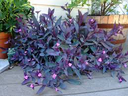 IMG_8736.webp
