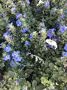 IMG_9150.webp
