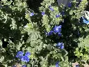 IMG_0558.webp