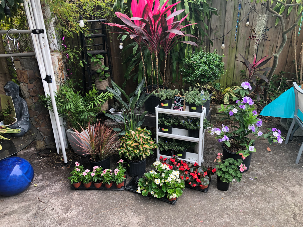 Monthly Garden Service