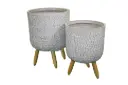 Honey Berry Set