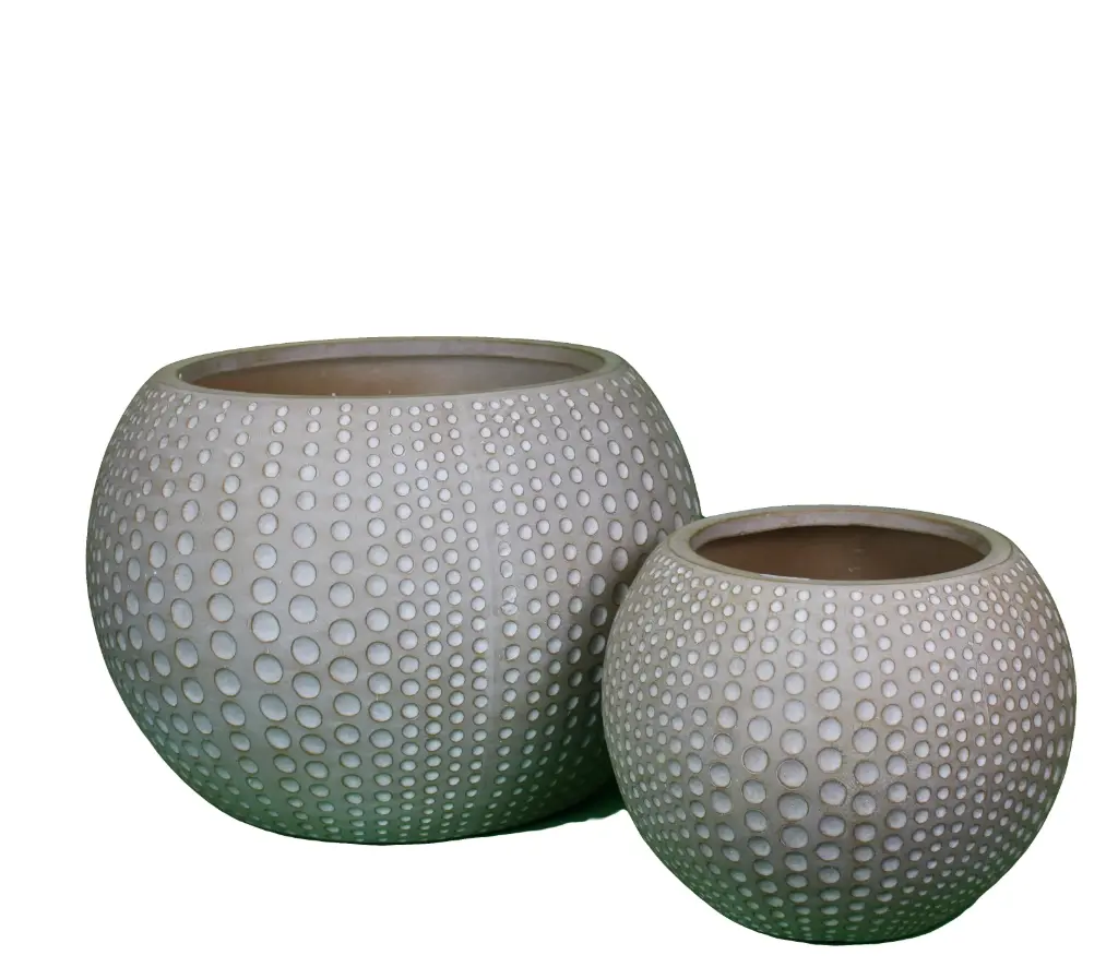 Sea Urchin