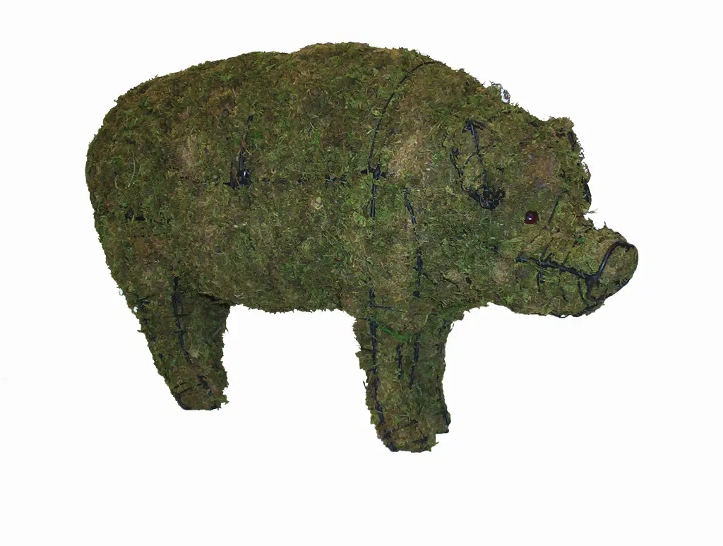 Pig - 25" (Mossed)