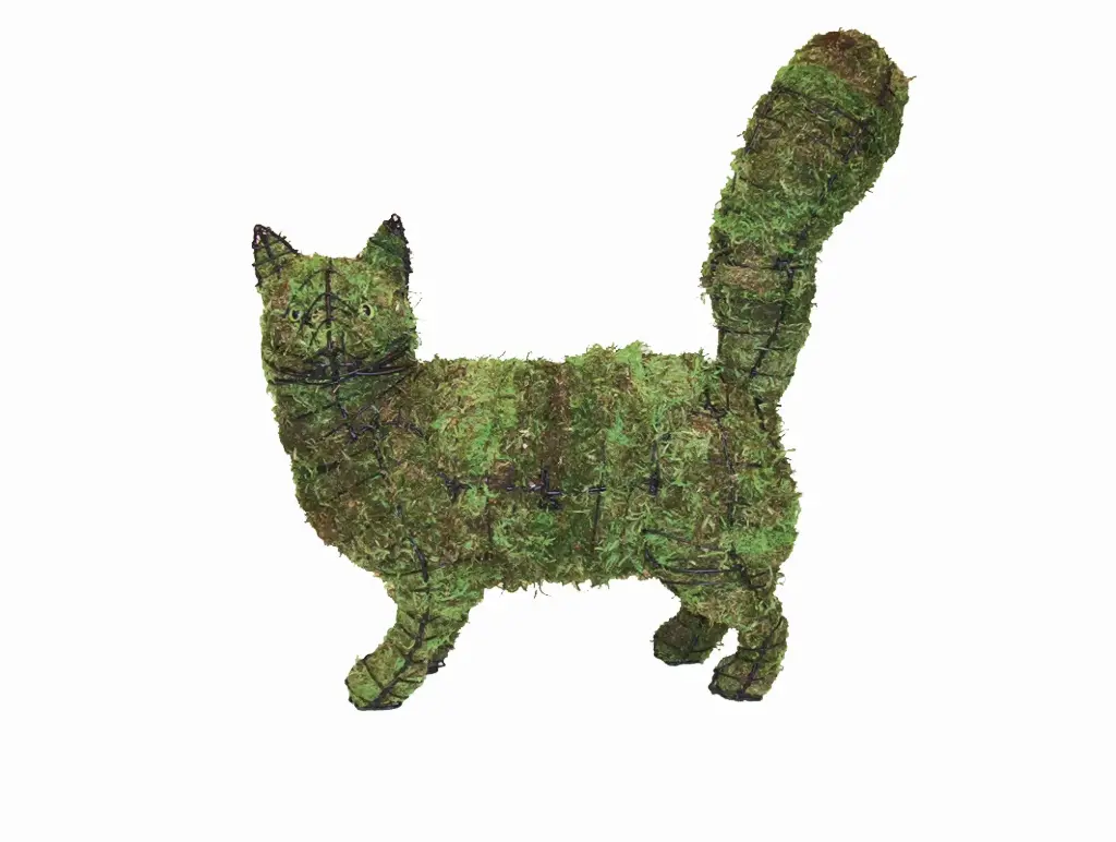 Cat, Walking - 18"  (Mossed)