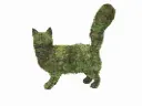 Cat, Walking - 18"  (Mossed)