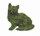 Kitten, Sitting - 9" (Mossed)
