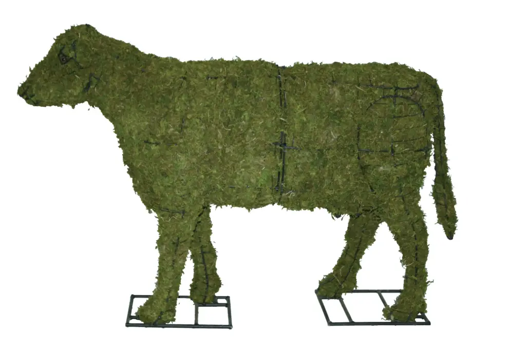 Cow - 24" (Mossed)