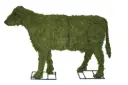 Cow - 24" (Mossed)