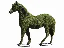 Horse - 72" (Mossed)