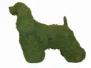 Cocker Spaniel - 21"  (Mossed)