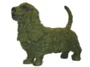 Basset Hound - 21"  (Mossed)
