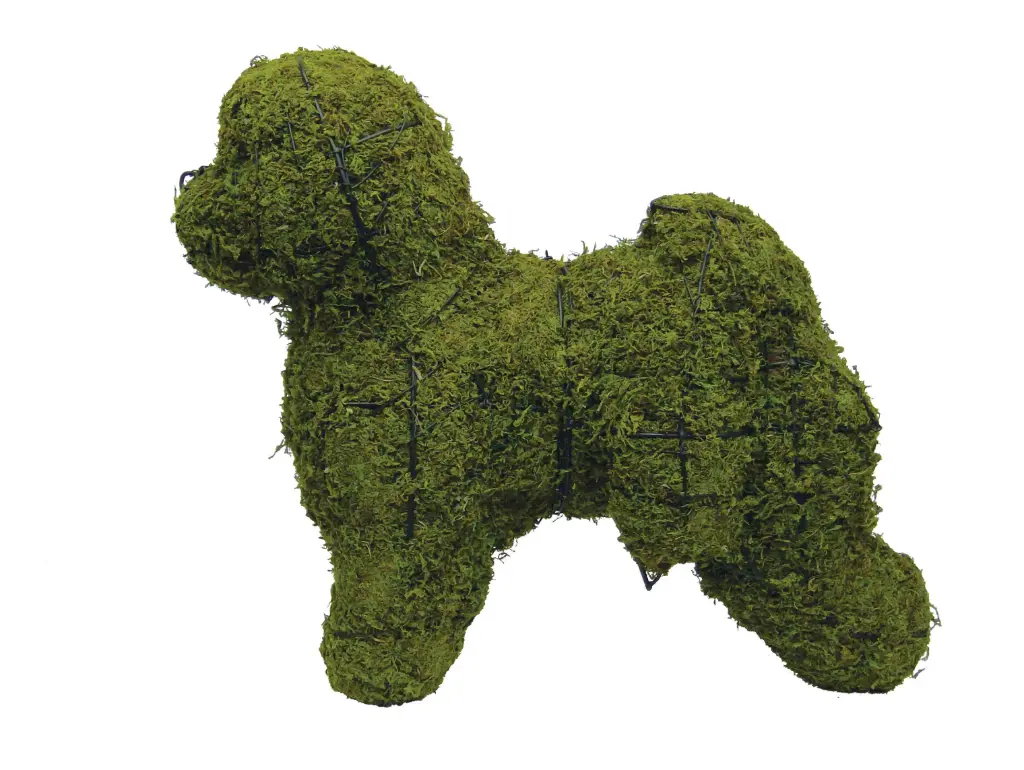 Bichon Frise - 19"  (Mossed)