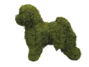 Bichon Frise - 19"  (Mossed)