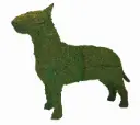 Bull Terrier - 27"  (Mossed)