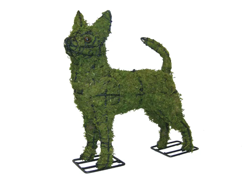 Chihuahua - 16"  (Mossed)