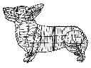 Corgi - 17"  (Frame)