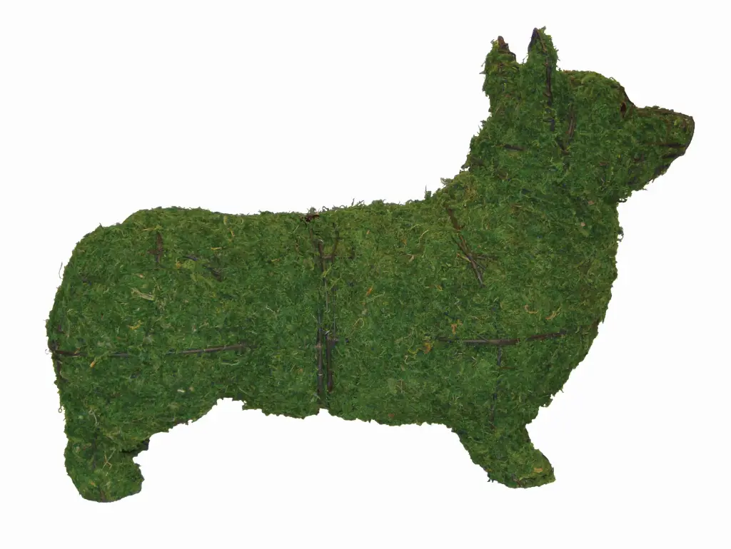 Corgi - 17" (Mossed)