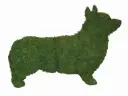 Corgi - 17" (Mossed)