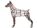 Doberman - 36" (Frame)