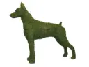 Doberman - 36" (Mossed)