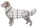 Golden Retriever - 31" (Frame)