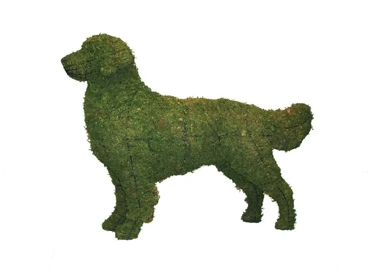 Golden Retriever - 31" (Mossed)