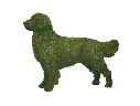 Golden Retriever - 31" (Mossed)