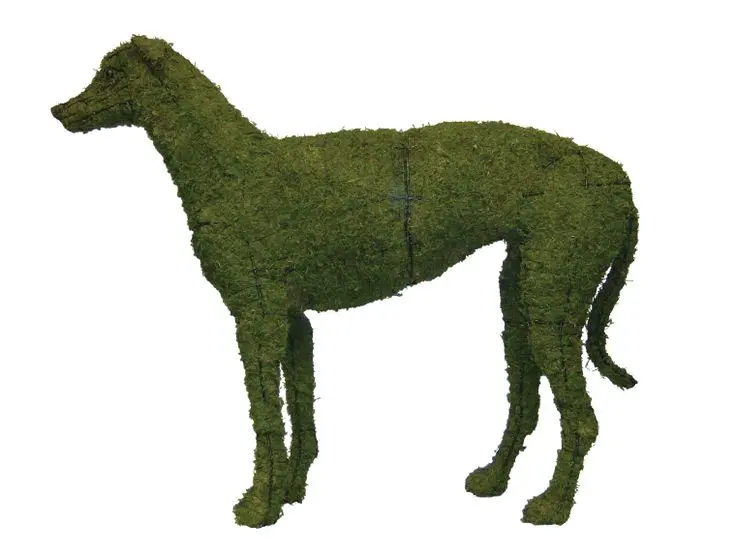 Greyhound - 37" (Mossed)