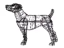 Jack Russell - 14" (Frame)